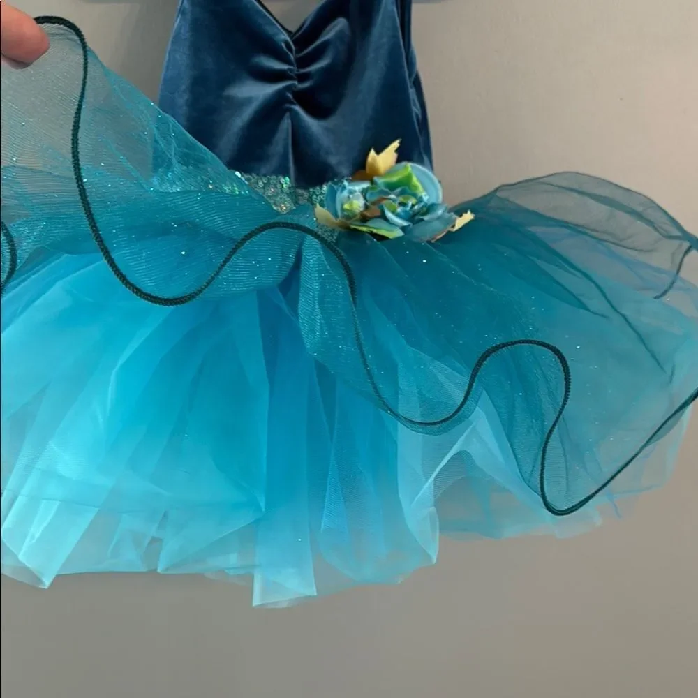 Girl’s Small blue Ballet Tutu Dress Dance Fairy Princess dress ~ Dress Up